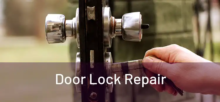  Door Lock Repair 